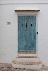 tIMG_1567