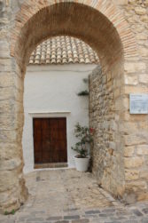 tIMG_1574
