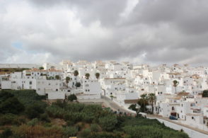 tIMG_1592