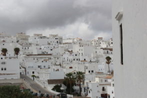 tIMG_1597