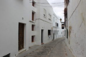 tIMG_1605