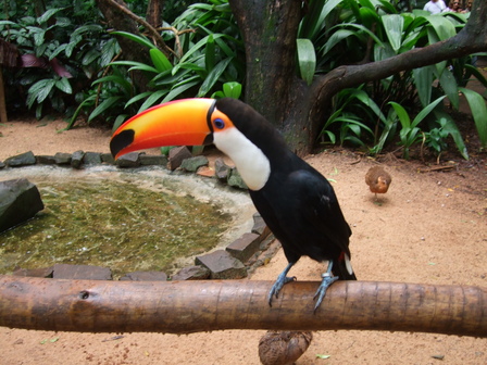 Parc des oiseaux