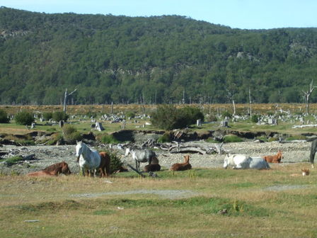 Parc national Terre de Feu